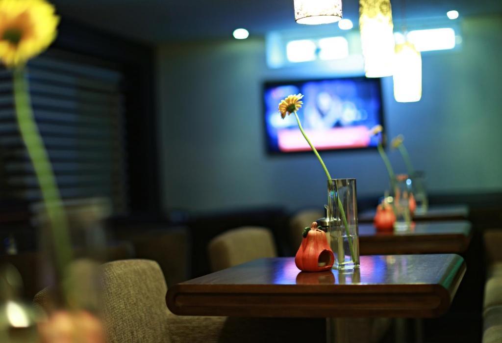 Penzion Le Monde Otel Bardejov Dış mekan fotoğraf